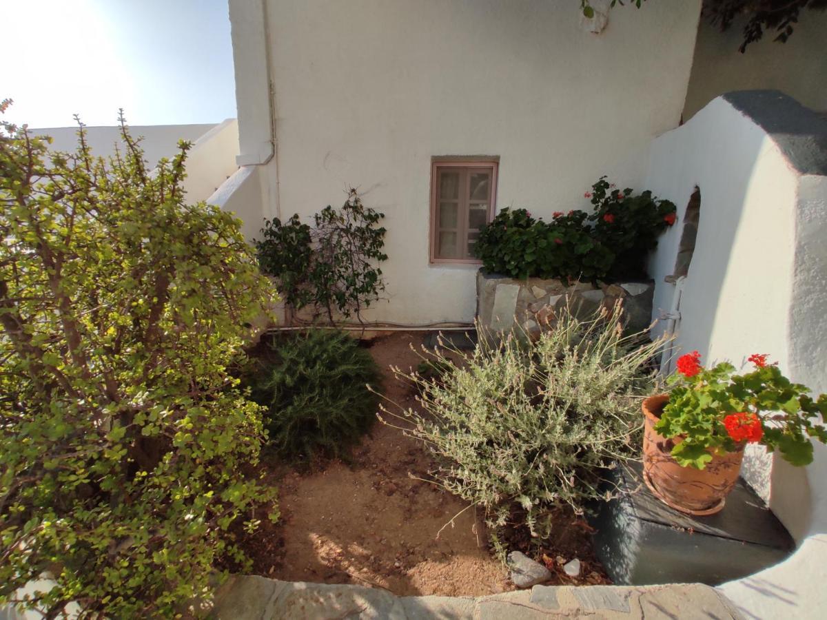 Porto Sikinos Hotel Alopronia Esterno foto